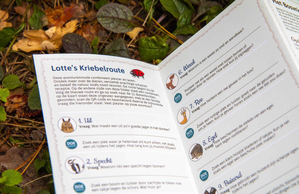 Camping Diever_Natuurroute_4_klein